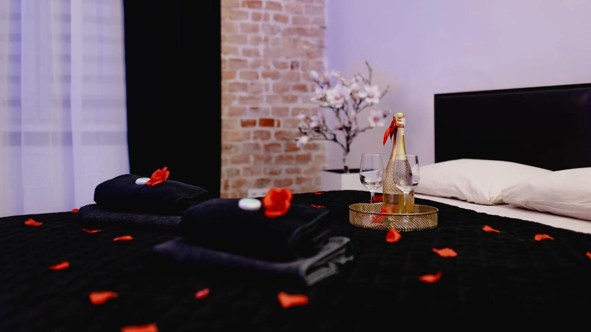 Jacuzzi Apartment Near The Royal Castle Krakow